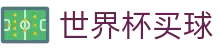 FIFA2026世界杯买球（World Cup）中国竞猜官方授权网站首页